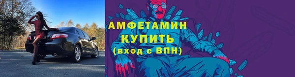 индика Володарск